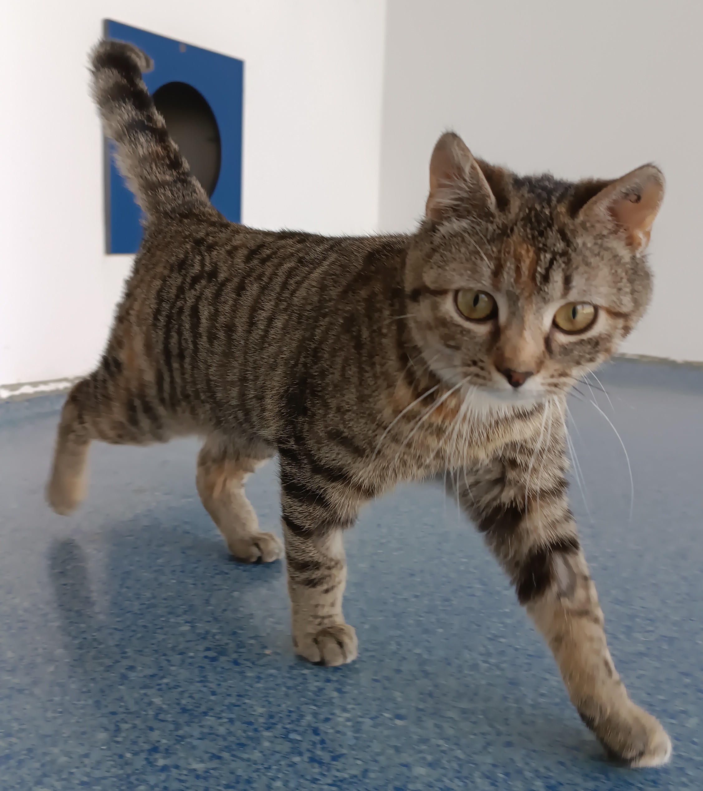 Irma.jpg